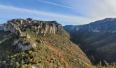 Excursión Senderismo Le Rozier - les corniches du Méjean (la Jonte) - Photo 18