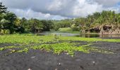 Tocht Stappen Unknown - Plage de Grande Anse Le Lorrain - Photo 11