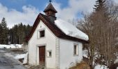 Tour Zu Fuß Hollersbach im Pinzgau - Bienenlehrpfad - Photo 2