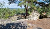 Tocht Stappen Fontainebleau - Fontainebleau sentier Denecourt 9 Est - Photo 3