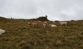 Tour Wandern Caussou - le col des canons - Photo 7