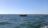Tocht Motorboot Arcachon - Tour de l'île aux Oiseaux - Photo 2