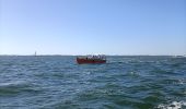 Percorso Motoscafo Arcachon - Tour de l'île aux Oiseaux - Photo 2