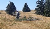 Randonnée Marche Viuz-la-Chiésaz - Semnoz, mon tour des lacs et des crêts  - Photo 8