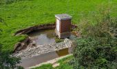 Percorso A piedi Euskirchen - EifelSchleife Hahnenberg - Photo 10