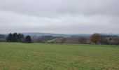 Tour Wandern La Roche-en-Ardenne - rando warempage 10/12/2020 - Photo 6