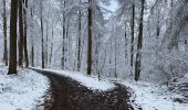 Trail Walking Namur - La Plante 16 Km - Photo 6