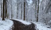 Tocht Stappen Namen - La Plante 16 Km - Photo 6