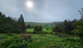 Tocht Stappen Philippeville - Balade de Roly à Villers-en-Fagne - Photo 15