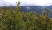 Trail Walking Septmoncel les Molunes - clavières (haut jura) - Photo 14