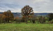 Excursión Senderismo Theux - Bronrome-Croix-Ruy-la Gleize - Photo 2