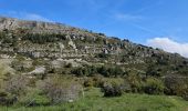 Trail Walking Caussols - De Caussols vers le sommet et le plateau de Calern - Photo 1