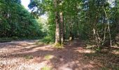 Tour Wandern Naveil - Circuit au lieu-dit Bordebeure Marcilly-en-Beauce - Photo 11