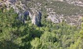 Tour Wandern Crillon-le-Brave - Torrent Pied Blanc / Rocher de la Madeleine - Photo 2