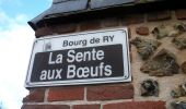 Randonnée Marche Auzouville-sur-Ry - 20230314-Auzouville sur Ry - Photo 9