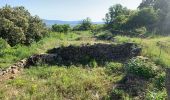 Percorso Marcia Clermont-l'Hérault - Oppidum de Clermont l’Hérault  - Photo 4