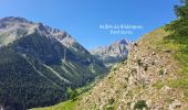 Tour Wandern Saint-Dalmas-le-Selvage - Crête de Pre Gaze et Abri de Giant, de Saint Dalmas de Selvage - Photo 3