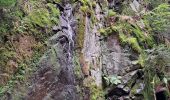Trail Walking Le Valtin - VOSGES 2023 - Col de la Schlucht - Les Rochers de Hirschteine - Photo 9