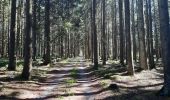 Tocht Stappen Sankt Vith - Rodt petite escapade en Ostbelgien - Photo 5