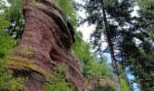 Tour Wandern Celles-sur-Plaine - celles sur plaine - Photo 11