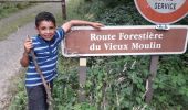 Tour Wandern Bagnoles-de-l'Orne-Normandie - Route forestière du vieux moulin  - Photo 1