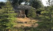 Tocht Stappen Conques-sur-Orbiel - Mur_aribaud_capitelles_réel - Photo 20