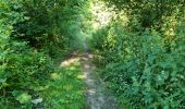 Trail Walking Reugny - Reugny - Vignes et Brenne - Photo 12