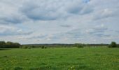Trail Walking Chimay - A la découverte de Lompret 🥾 - Photo 3