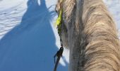 Trail Horseback riding Saint-Martin - neige kaline vispa  - Photo 8