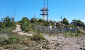 Randonnée Marche Fréjus - Mont Vinaigre variante - Photo 1