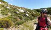 Tocht Mountainbike Vialas - Mas de barque tracé 2 - Photo 4