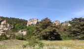 Randonnée Marche Millau - Millau le cun - Photo 1