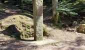 Tour Wandern Angomont - Col de la Chapelotte Sentier de Mémoite - Photo 6