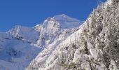 Randonnée A pied Cogne - Sentiero 22E Bivacco Martinotti - Photo 4