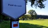 Trail Walking Malmedy - Le pouhon des cuves   - Photo 4