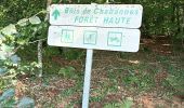 Trail Walking Fursac - Crechat Folles le Moulin Neuf  - Photo 3