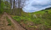 Trail Walking Hotton - Balade à Hotton - Photo 11
