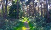 Tocht Te voet Kamp-Lintfort - Leucht Rundweg A6 - Photo 4