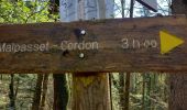 Trail Walking Cerdon - Le cerdon parr le drapeau  - Photo 11
