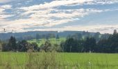 Tocht Stappen Lierneux - réserve naturelle de Lierneux - Photo 14