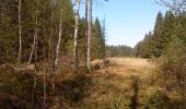 Tour Zu Fuß Flörsbachtal - Grünes Eichenblatt, Rundweg Mosborn - Photo 3