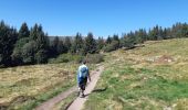 Trail Walking Orbey - Col du Wettstein - Hautes-Huttes - Lac du Forlet - Lac Vert - Photo 14