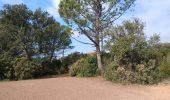 Trail Walking Saint-Raphaël - Le Drapeau d'Agay St Raphaël  - Photo 6