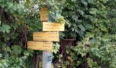 Trail Walking Saint-Pierre-de-Chartreuse - Les Cottaves_les Revols_Chalets du Charmant Som - Photo 15