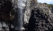 Tocht Stappen Nasbinals - NASBINAL - CASCADE DU DEROC - Photo 19