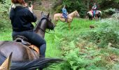 Trail Horseback riding Baccarat - Randonnée fouy Alex Tivio  - Photo 2