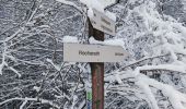 Trail Walking Büllingen - La vallée perdue - Rocherath  - Photo 4