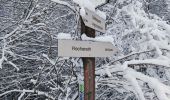 Tour Wandern Büllingen - La vallée perdue - Rocherath  - Photo 4