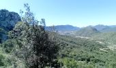 Tour Wandern Duilhac-sous-Peyrepertuse - 7eme étape sentier cathare  - Photo 17