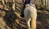 Trail Horseback riding Goxwiller - Mont saint Odile cva tryggur  - Photo 3
